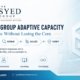 The Syed Group adaptive-capacity framework showing signal, review, adjustment and verification across a multi-sector institution founded by Syed Raheel Shahzad