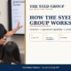 The Syed Group with Founder and Group CEO Syed Raheel Shahzad — سيد راحيل شهزاد — illustrating institutional direction, specialist capability, governance, investment, technology, trade and public benefit